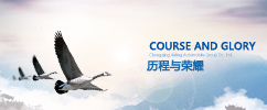 关于公司